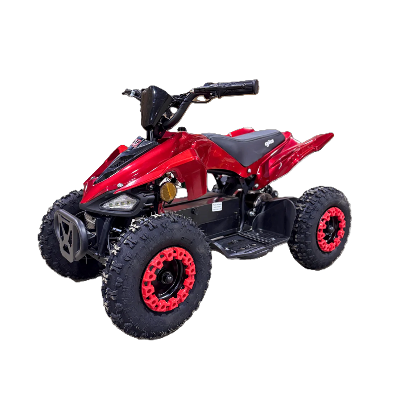 VTT MANTERAY, 500W, 36V, vitesse max de 25 km / h VTT MANTERAY, 500W, 36V, vitesse max de 25 km / h